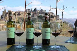 Visita Cantina Montefioralle